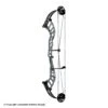 Hoyt Altus 38 Compound Target Bow (HBT)