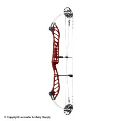 PSE Dominator Duo 38 Compound Target Bow (M2) -Victory Shop 1033086 blackcherry