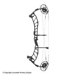 PSE Fortis 33 Compound Hunting Bow (E2)