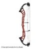2021 Hoyt Altus 38 Compound Target Bow DCX Cam (Clearance X1033002)