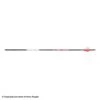 Bloodsport Prosecutor Fletched Arrows